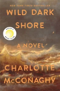 Cover for Wild Dark Shore