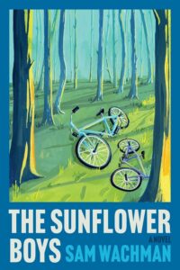 Cover for The Sunflower Boys